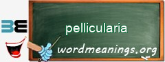 WordMeaning blackboard for pellicularia